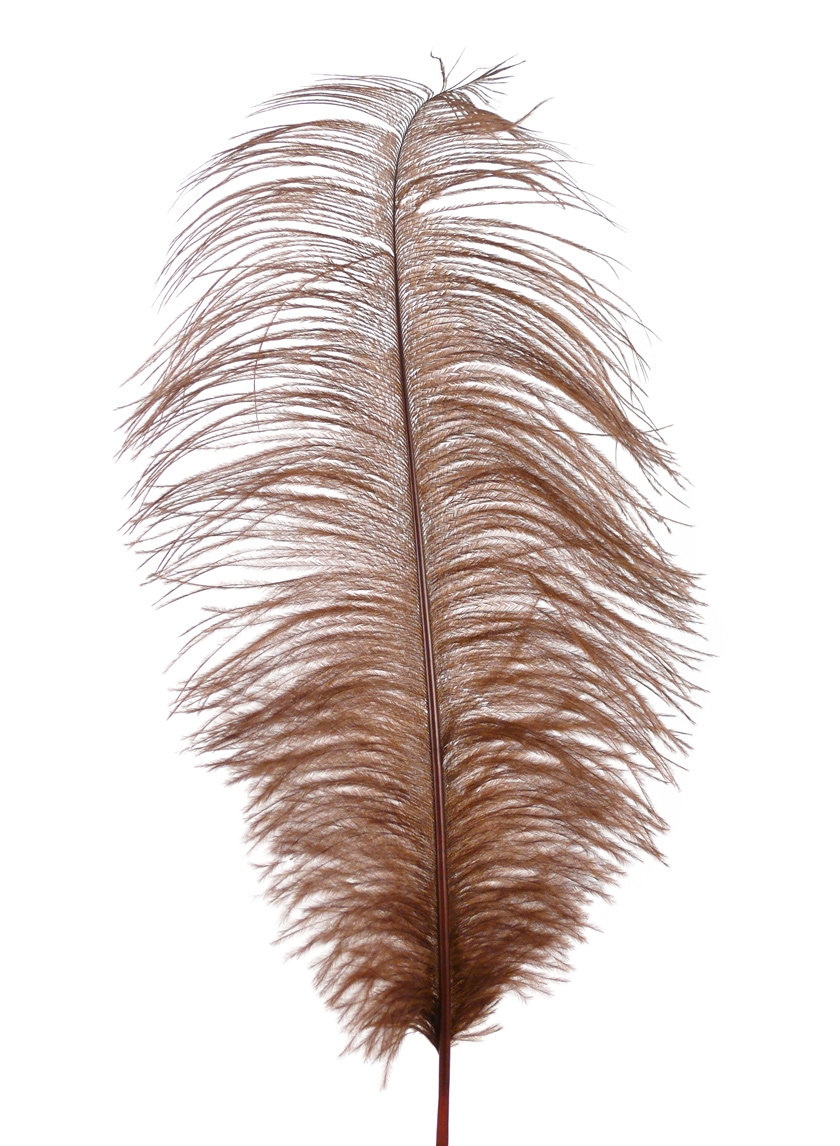 18 - 20in Brown Ostrich Feather