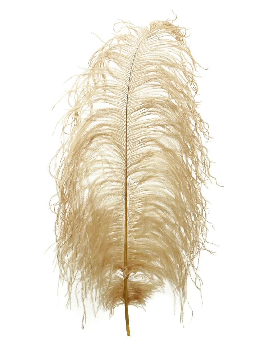 18 - 20in Tan Ostrich Feather