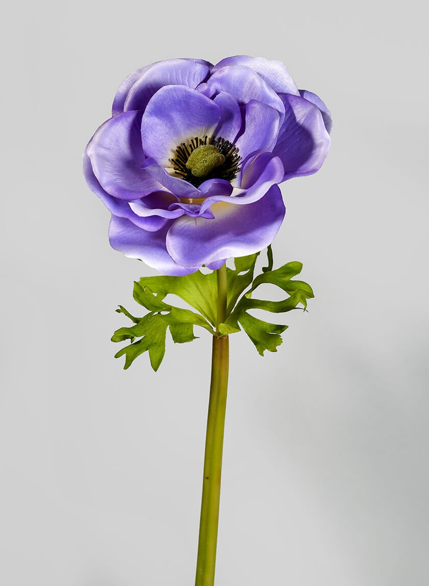 22in Blue Anemone