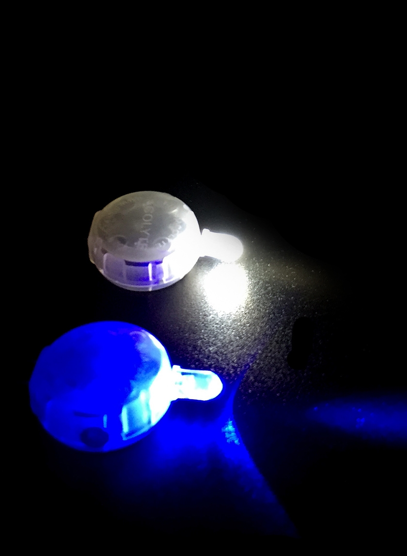 Acolyte White & Blue L.E.D C-Lyte Mini Lights