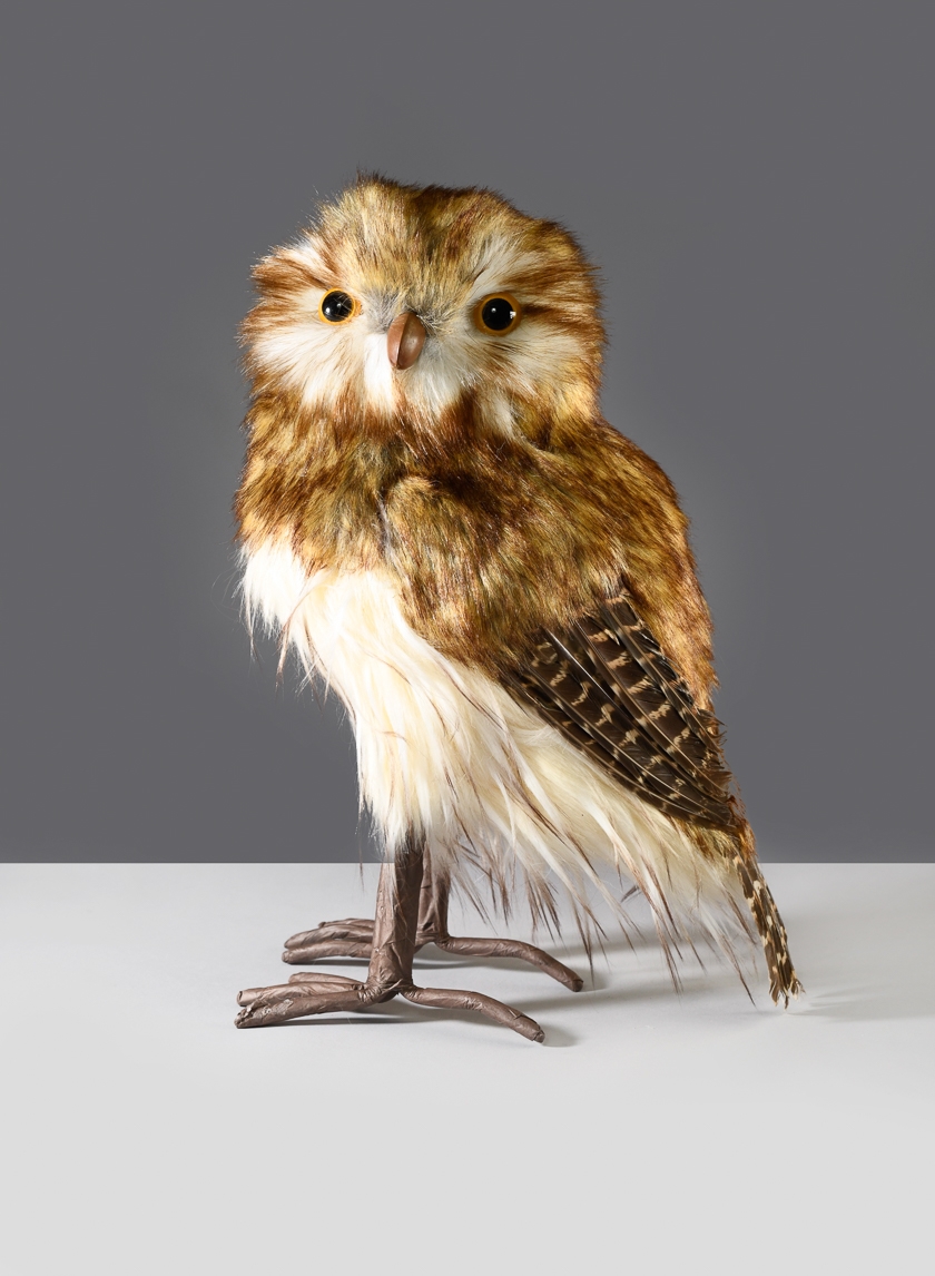 12in Brown Owl