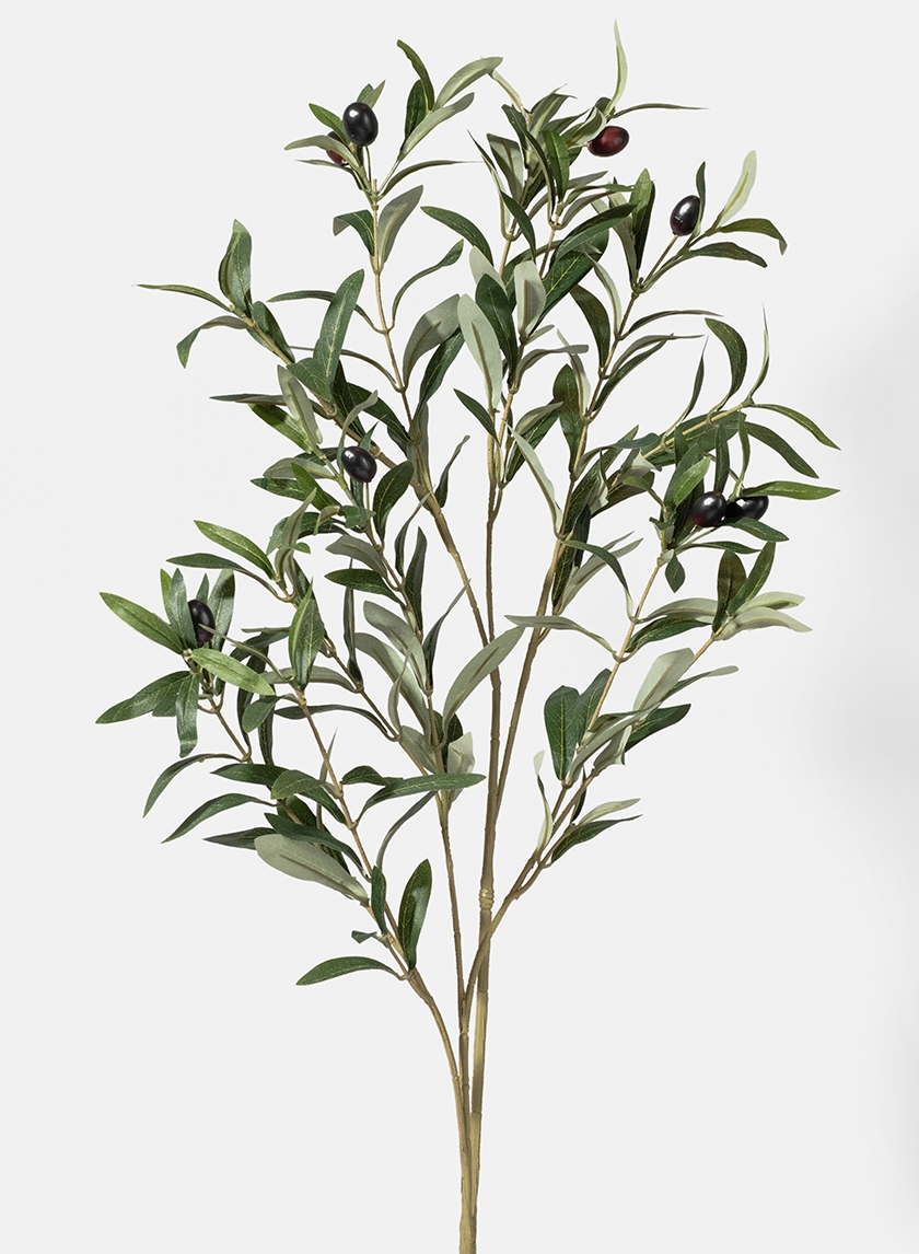 32in Green Olive Branch