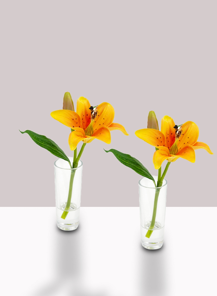 Orange Lily & Bud in Clear Shot Glass, Set of 2