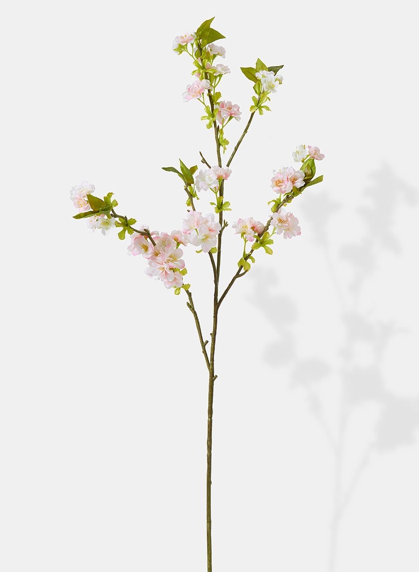 38in Cream Sakura Branch