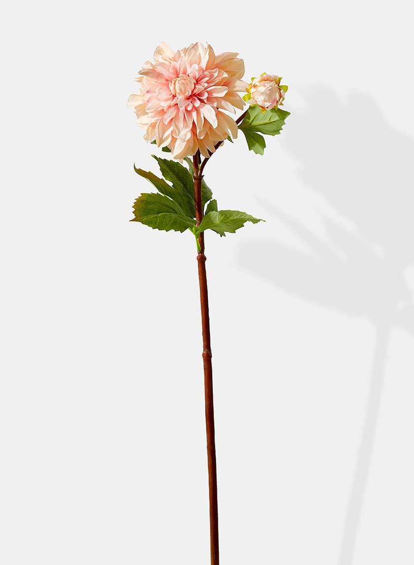 33in Peach Dahlia 24720