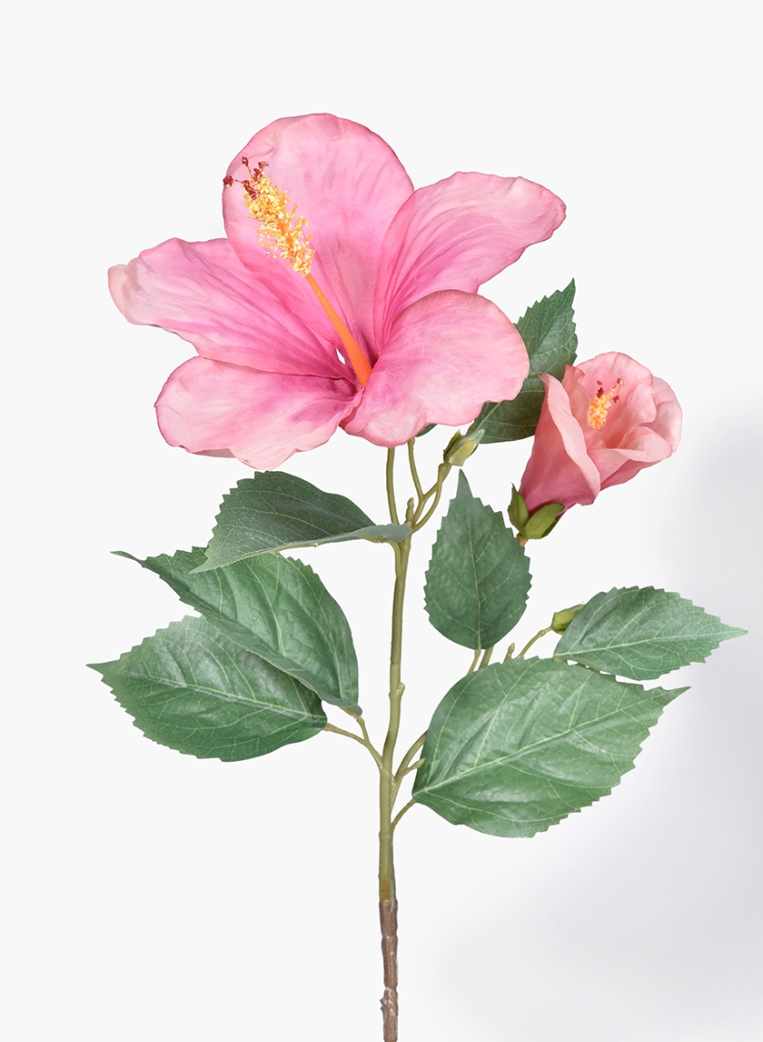 26in Pink & Peach Hibiscus