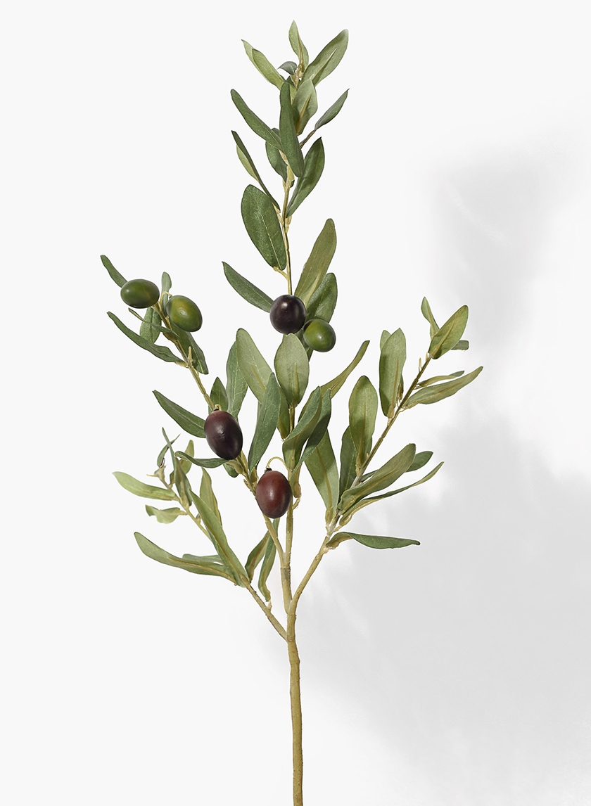 32in Green Olive Tree Branch