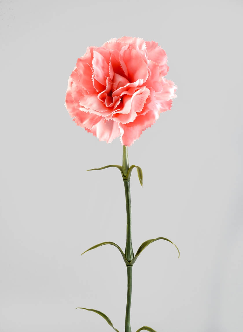 24in Pink Carnation