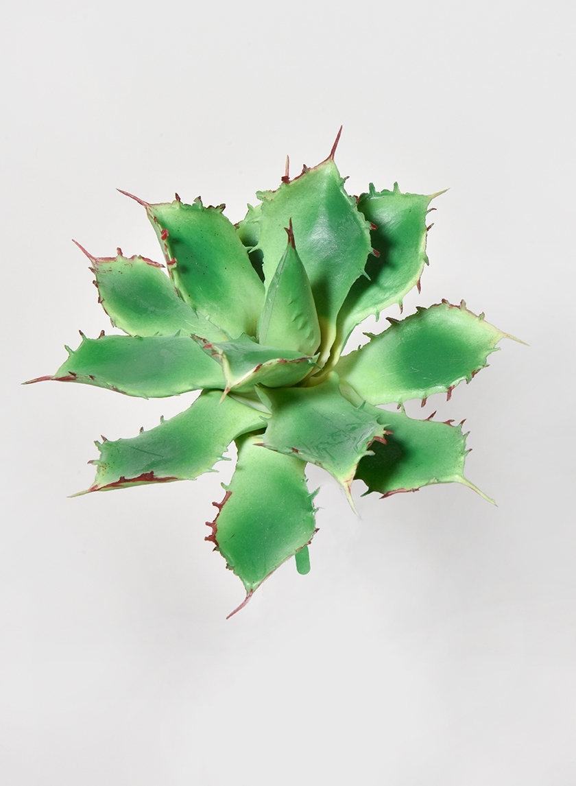 5in Star Cactus Pick