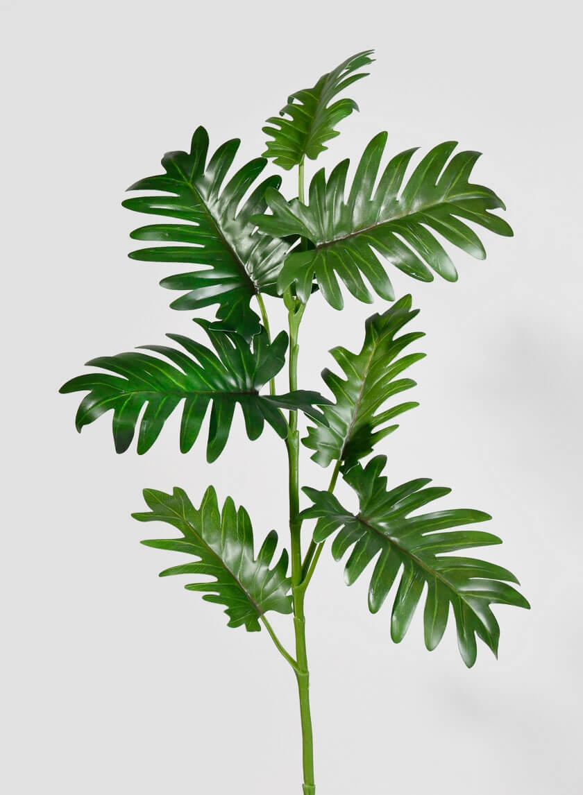 32 ½in Philodendron Leaf Spray