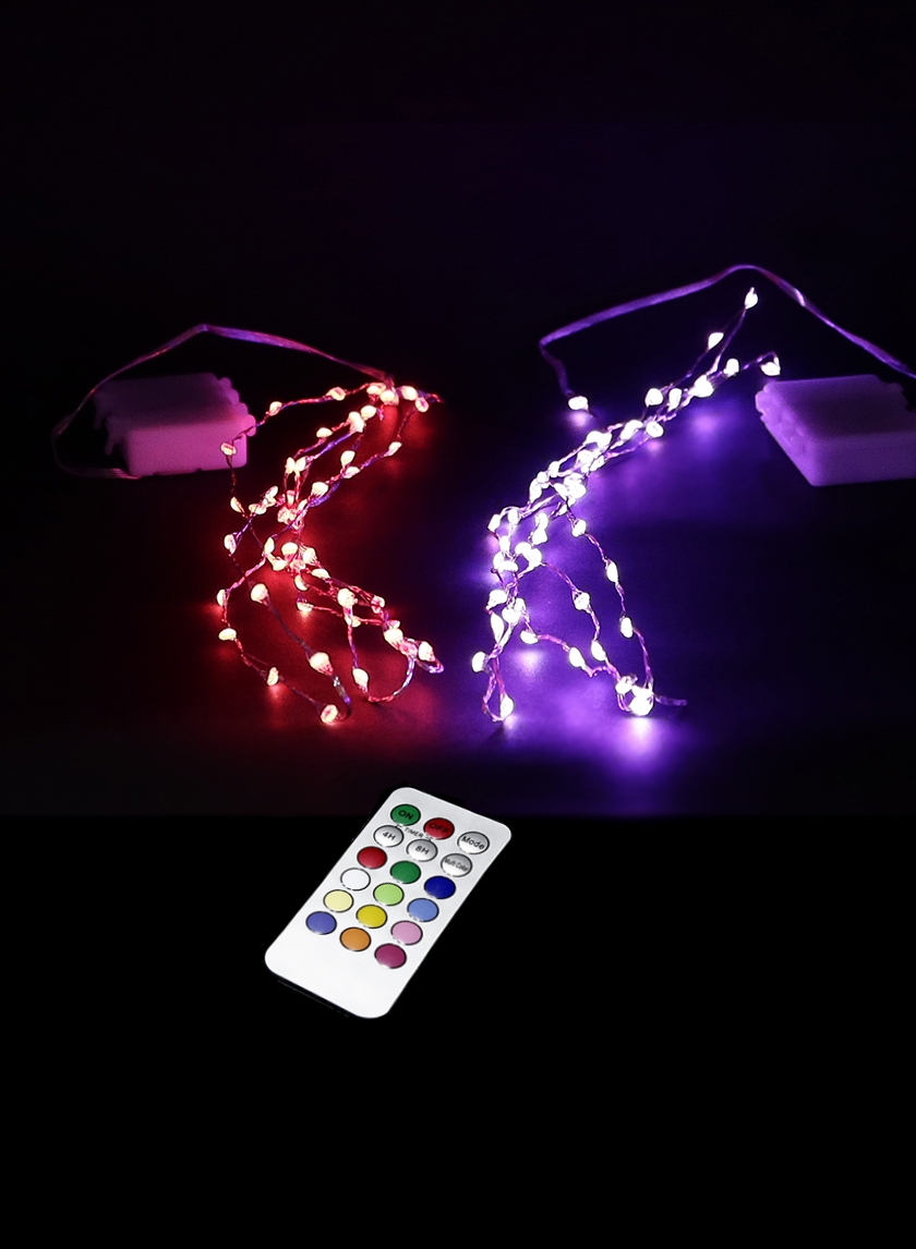 50 String Light With Remote, Set of 2