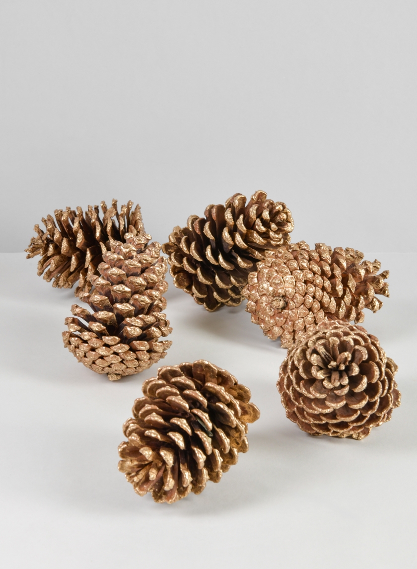 Large Golden Pinecone, Set of 6