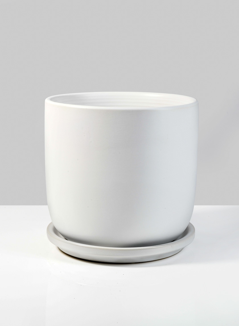 6in Marble Aeon Ceramic Pot & Saucer