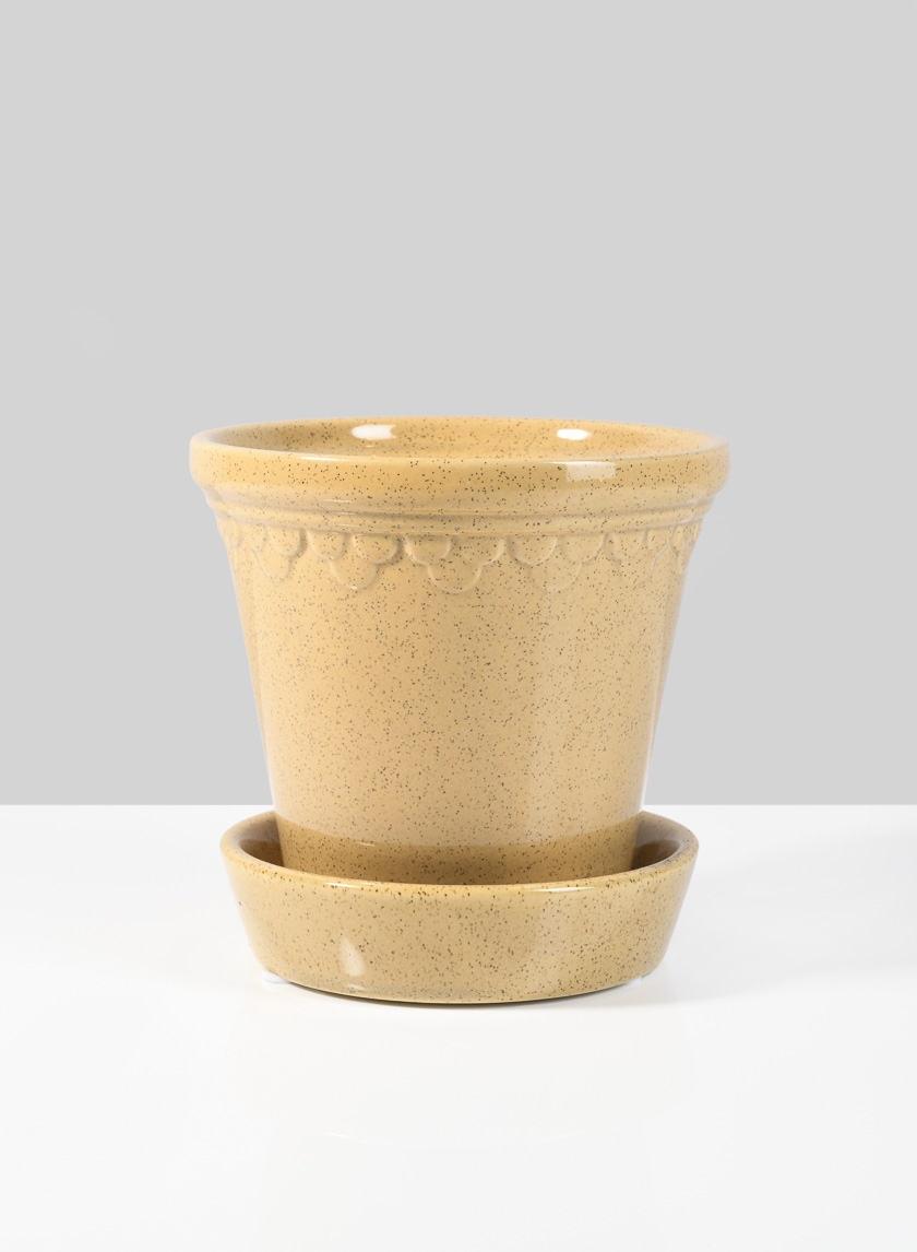 4 ¾in Honey Relief Ceramic Pot & Saucer