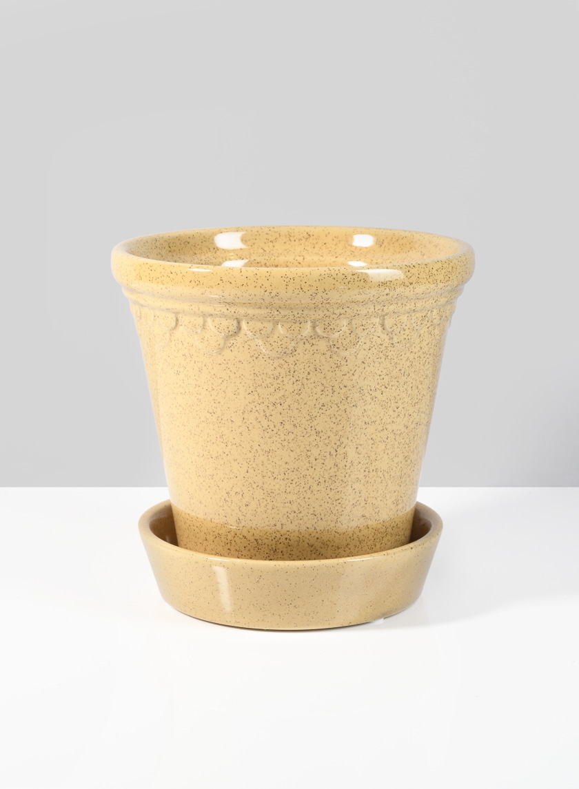 6in Honey Relief Ceramic Pot & Saucer