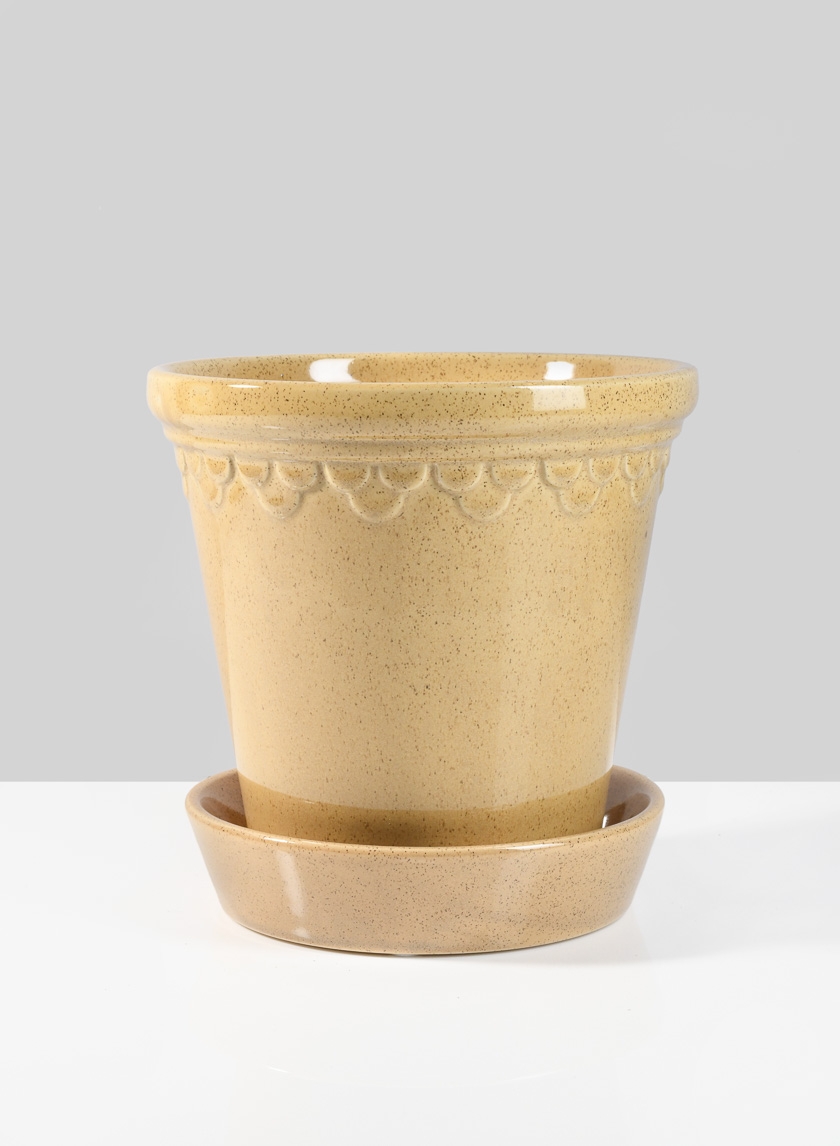 6 ½in Honey Relief Ceramic Pot & Saucer