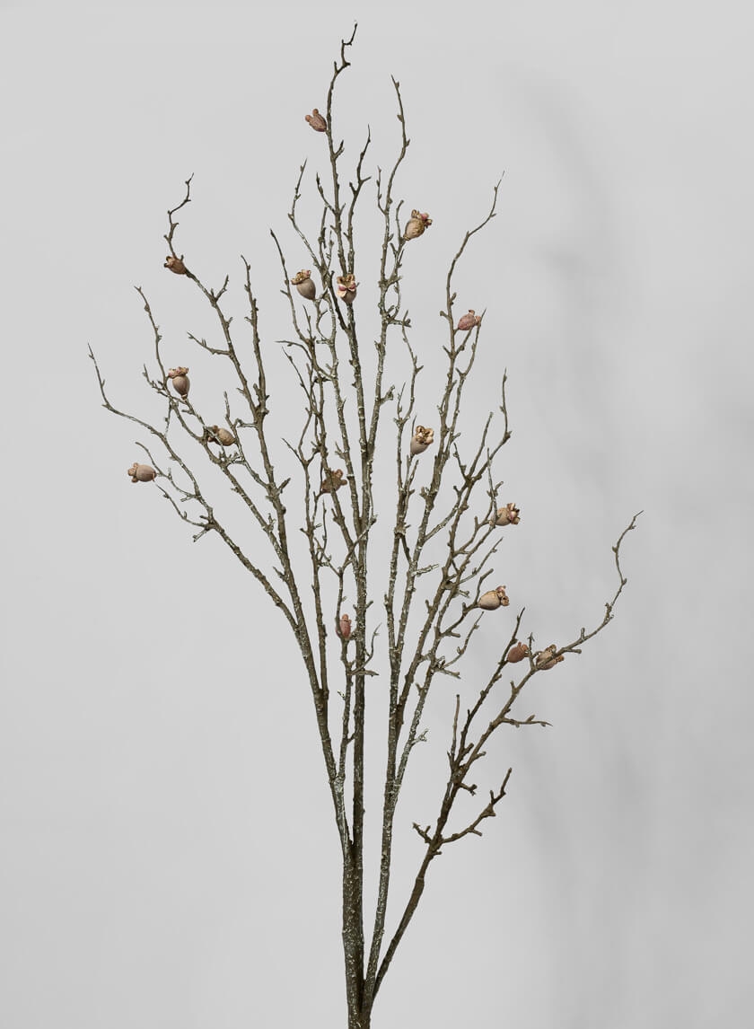 57in Dried Branch with Pods