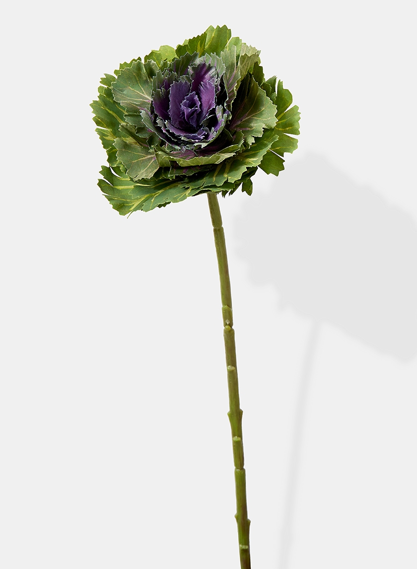15in Purple & Green Ornamental Cabbage Pick