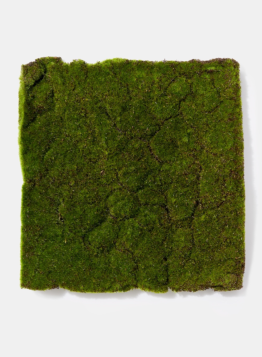 16in Square Flocked Moss Mat