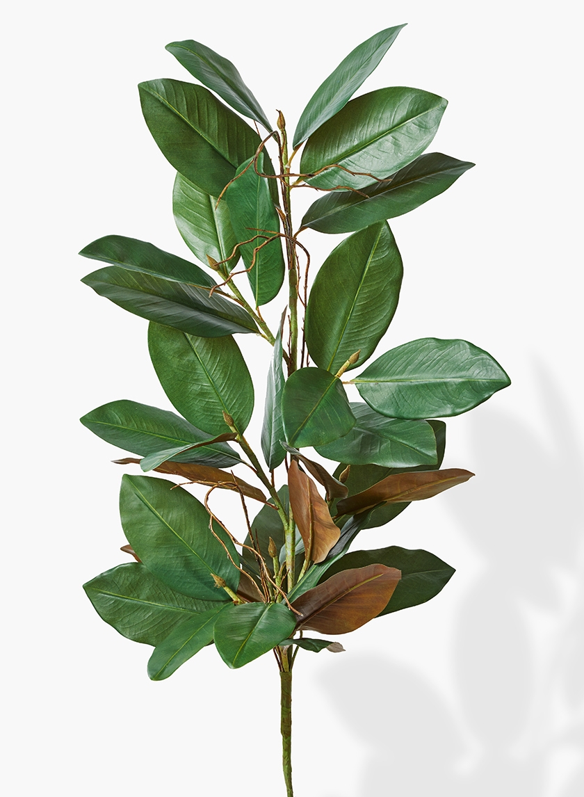 32in Magnolia Leaf Garland