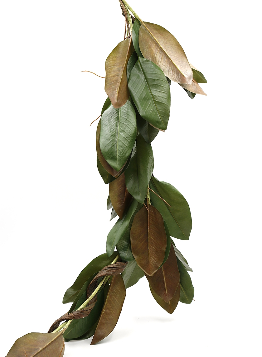 50in Magnolia Leaf Garland
