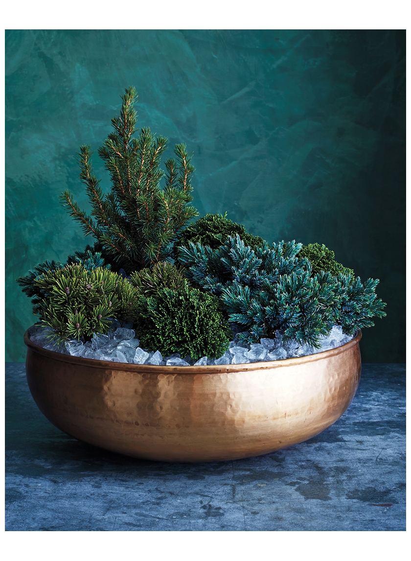 a cluster of conifers winter front door arrangement in brass bowl