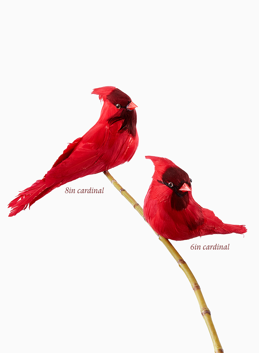6in & 8in Cardinals
