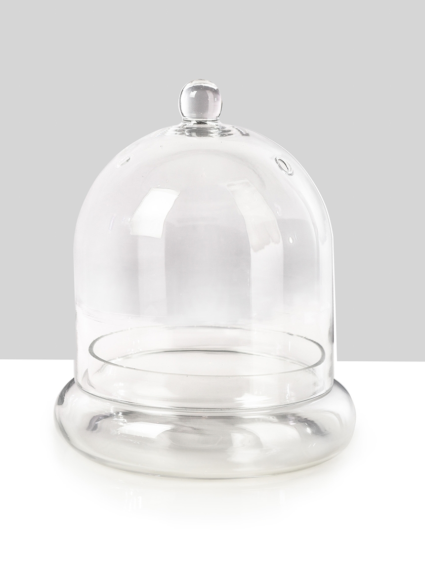 9 ½in Glass Terrarium