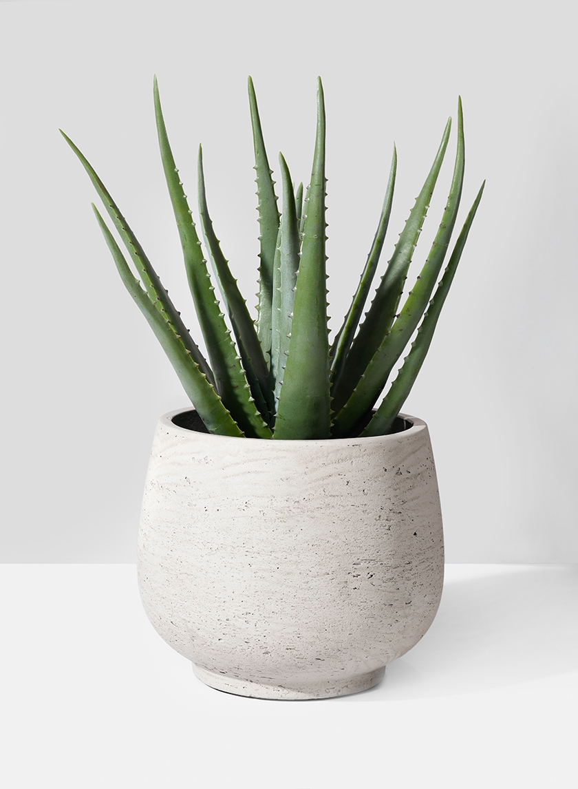 18in Faux Aloe Plant in Pot