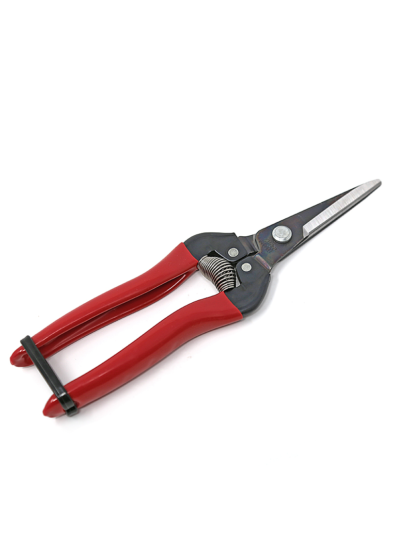 ARS needle nose pruner cutter scissor 