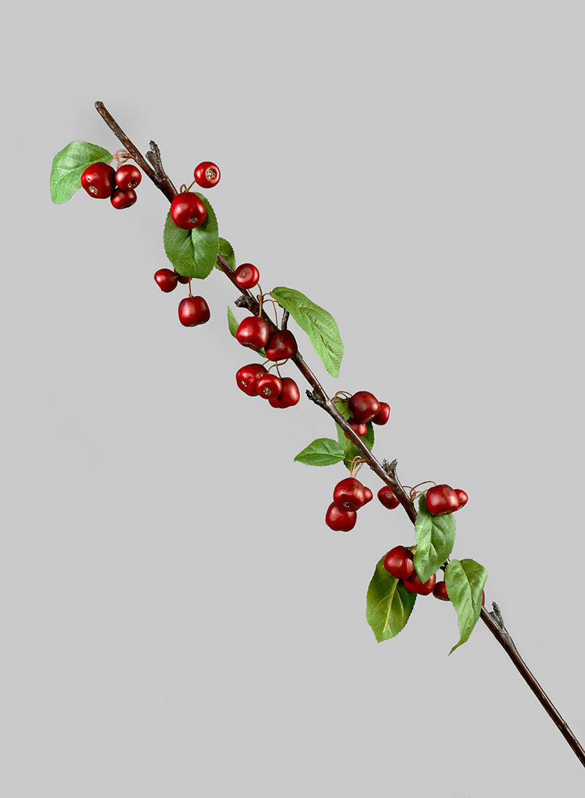 37in Red Berry Branch