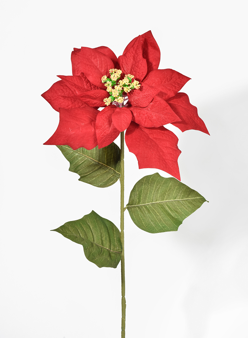 30in Red Poinsettia