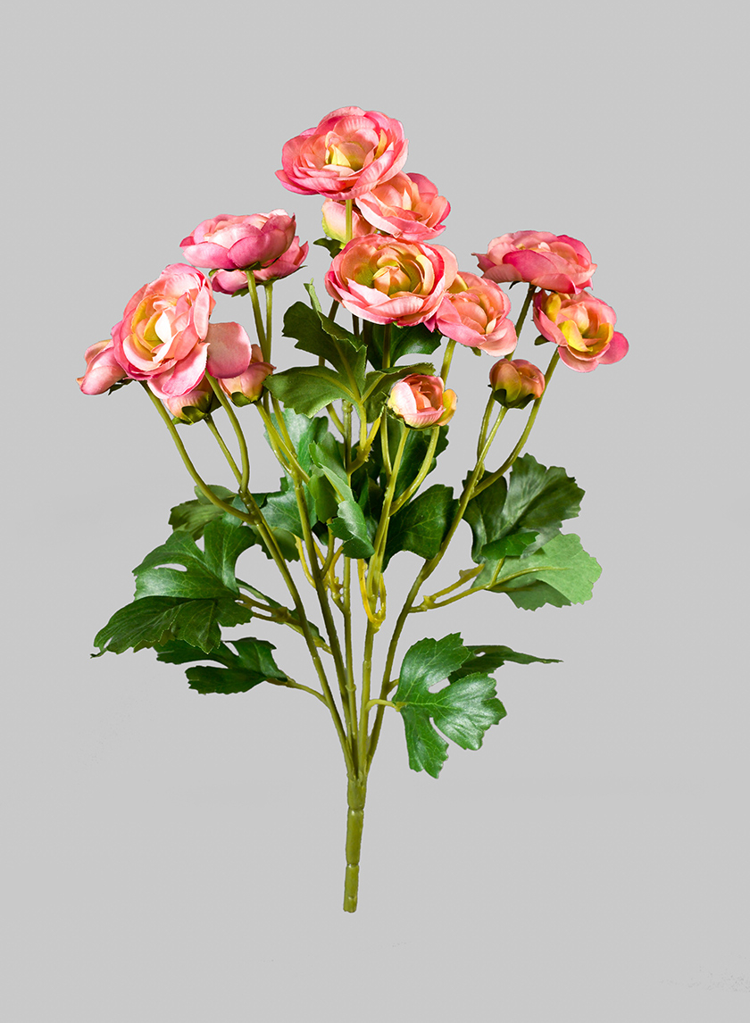 14in Pink Ranunculus Bush