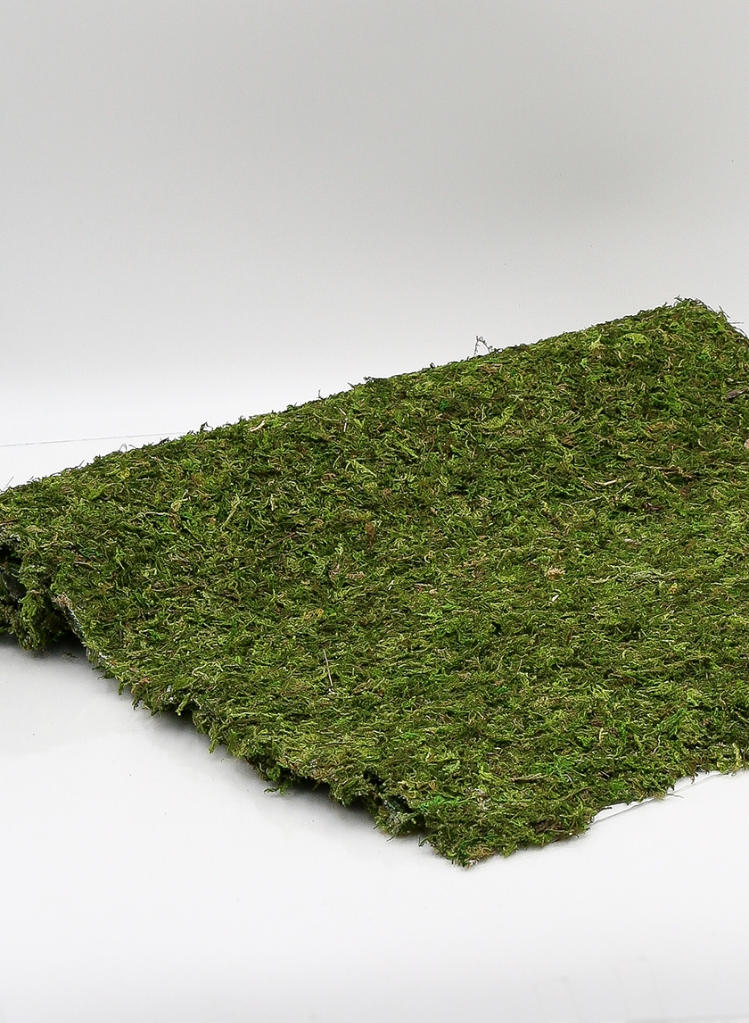 48 x 18in Moss Mat