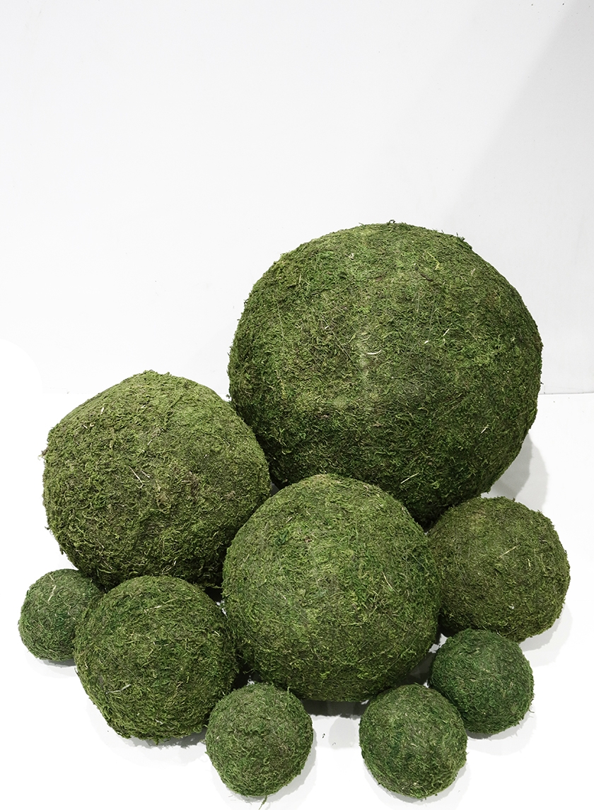 Large - XXL Pure Green Moss Balls Dried Organic Rattan Wedding