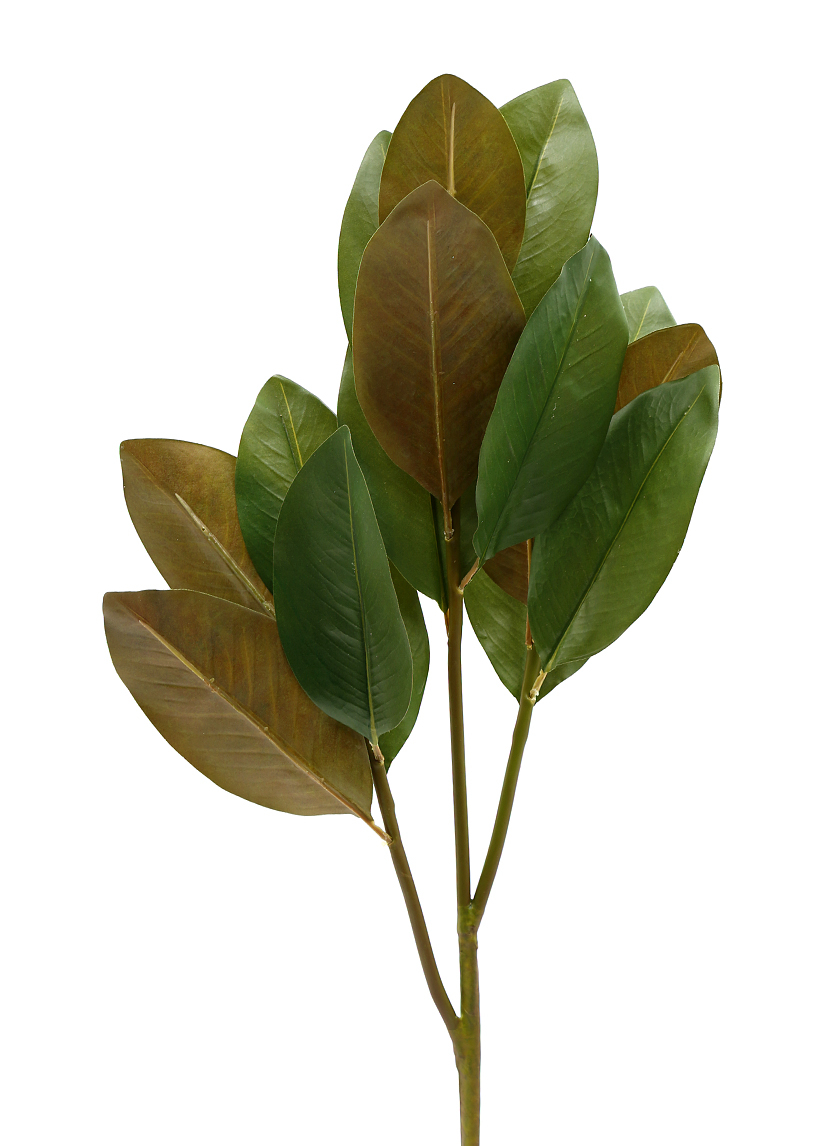 39in Magnolia Leaf Spray