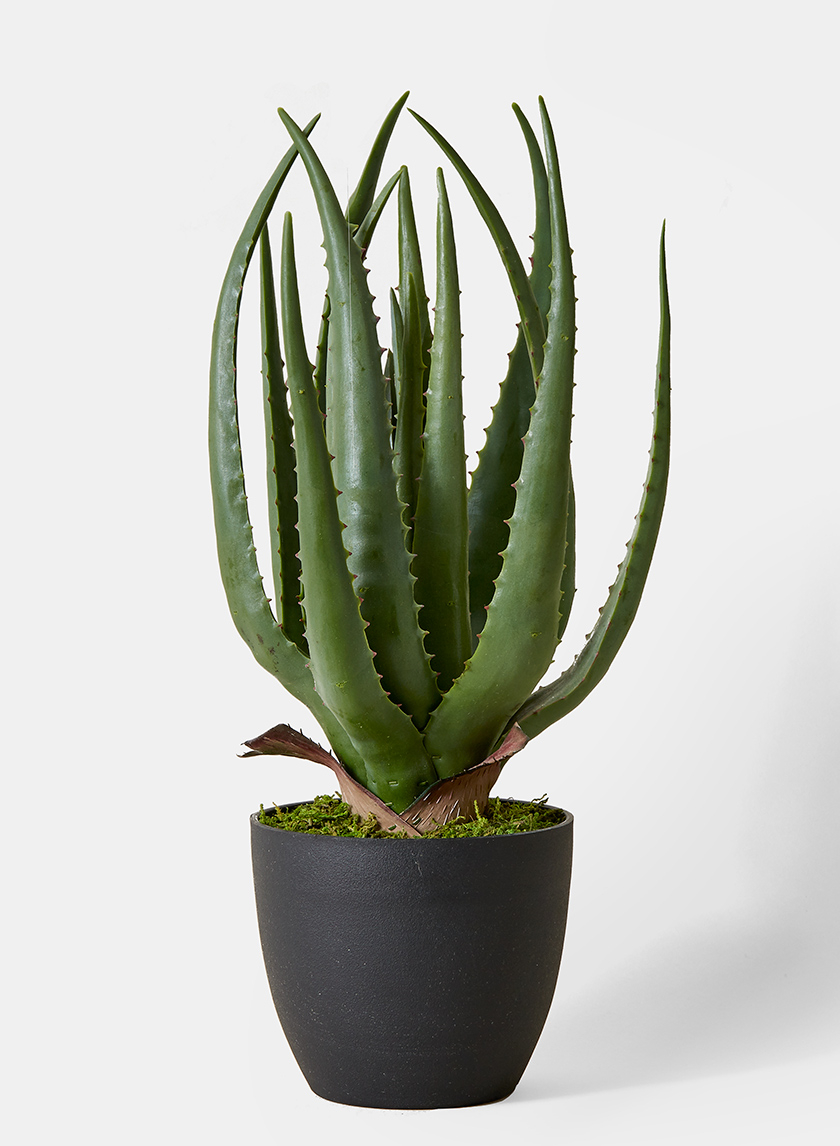 artificial aloe plant 