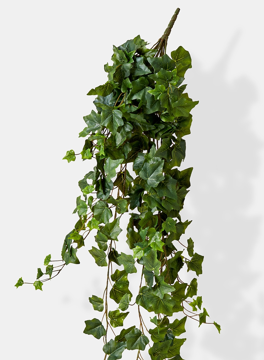 classic wedding bouquet english ivy hanger