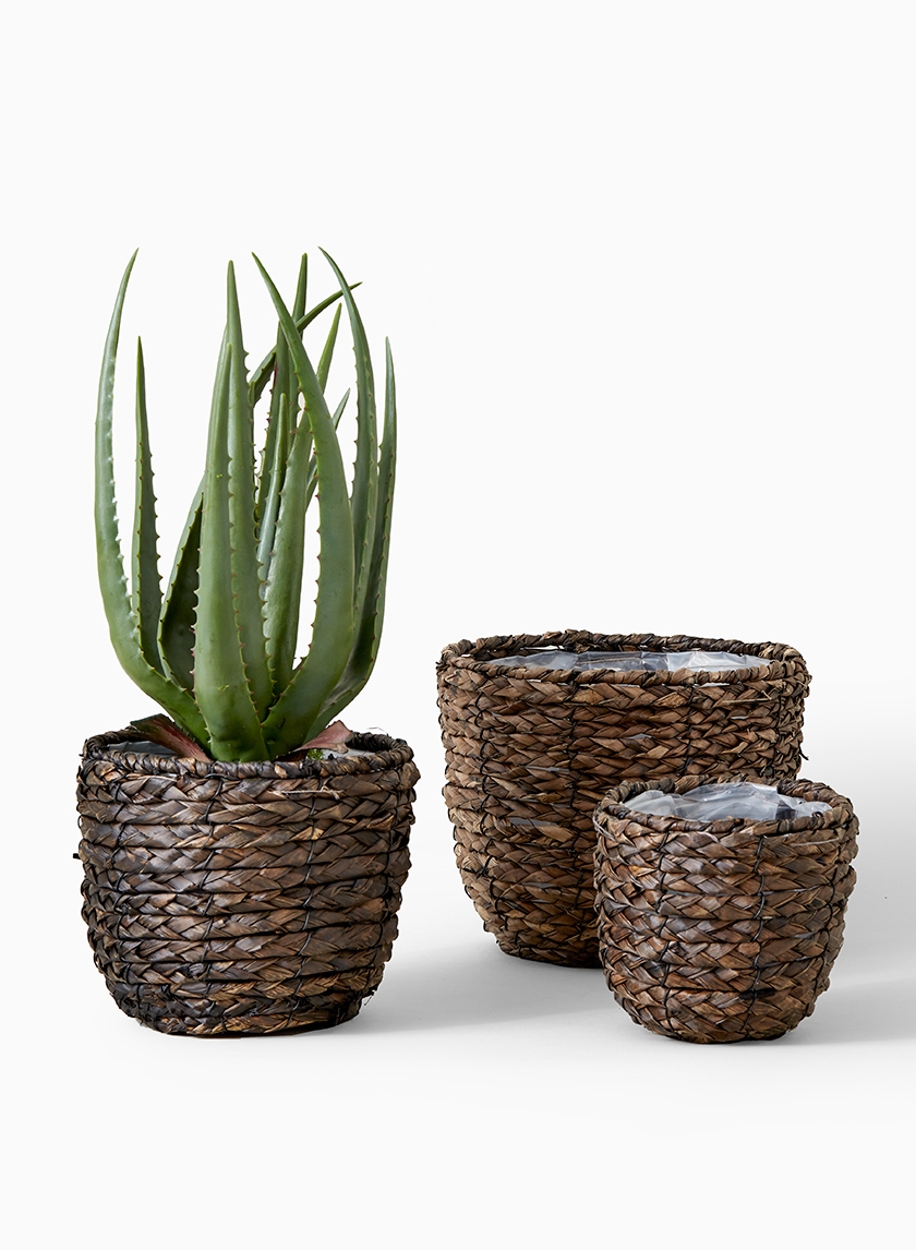 grass basket with fake aloe plant display