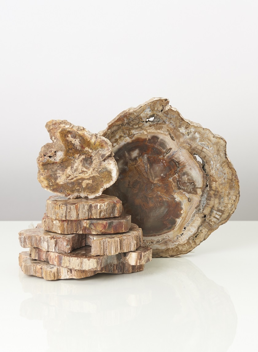 Petrified Wood Plates