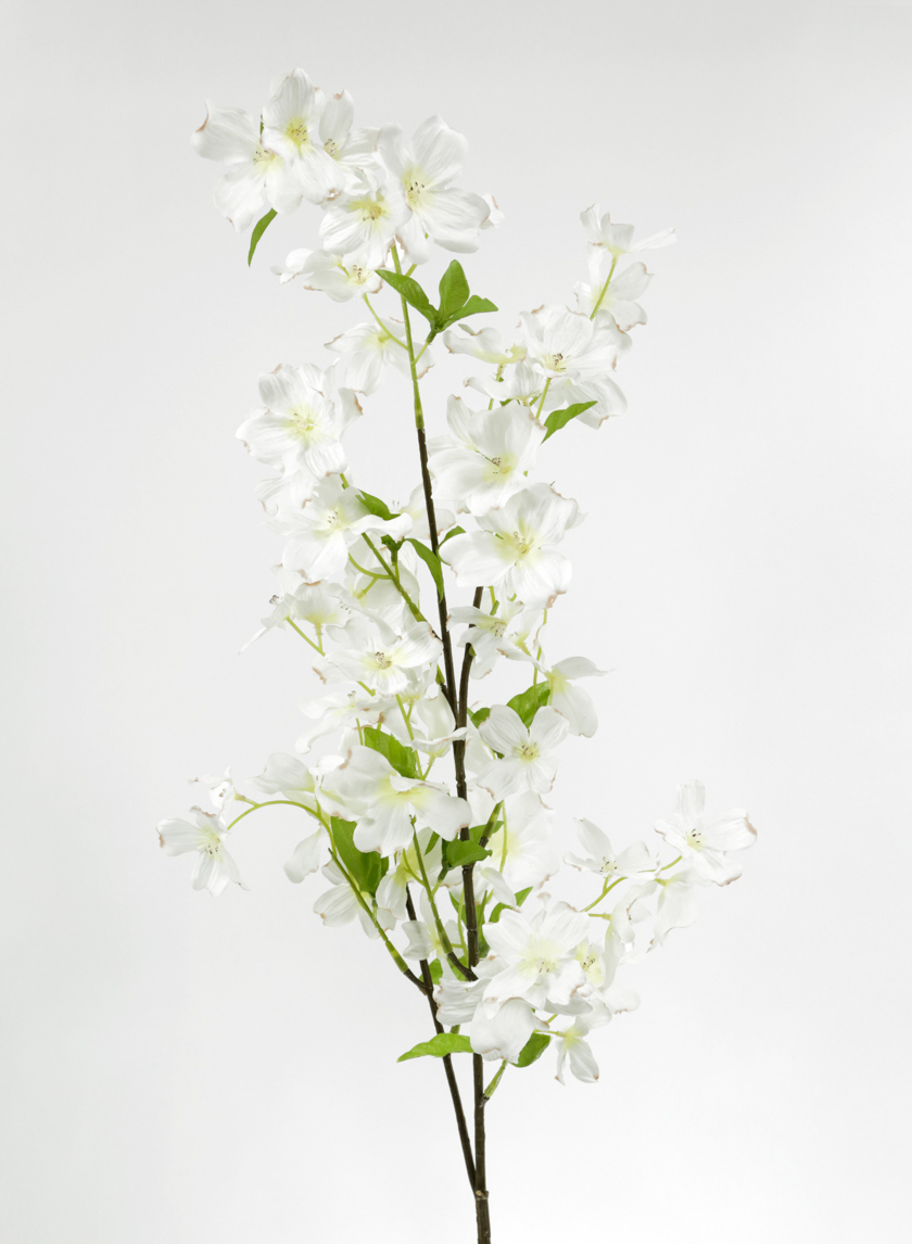 white dogwood 28051HK