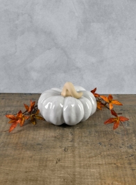 Porcelain White Wash Pumpkins