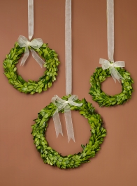 6, 7 ½, and 10-Inch Ribboned Boxwood Wreath Set