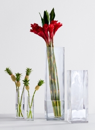 2 x 8in H Square Glass Bud Vase