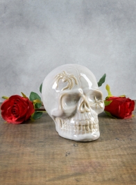 Dexter's White Porcelain Skull