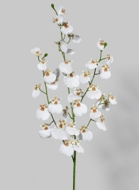 36in White Dancing Orchid Spray