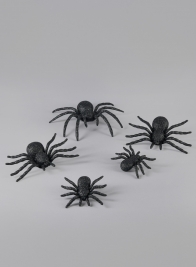 Assorted Black Spider, Set of 5