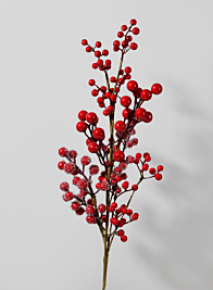 Iced Red Berries Pick
