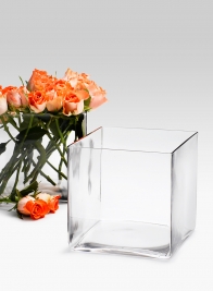 7in Glass Cube Vase