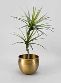 Devdas Brass Look Aluminium Indoor Garden Pot, Medium